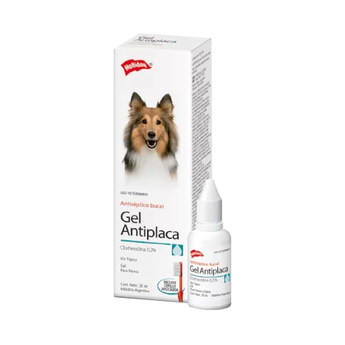 Holliday Clorhexidina Gel Antiplaca 20ml - Mascotique